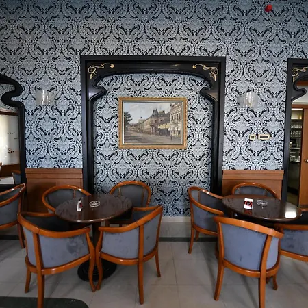 贝尔格莱德酒店 酒店 Čačak